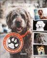  Vlj rtt hund 