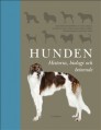  Hunden 