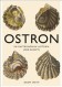  Ostron 